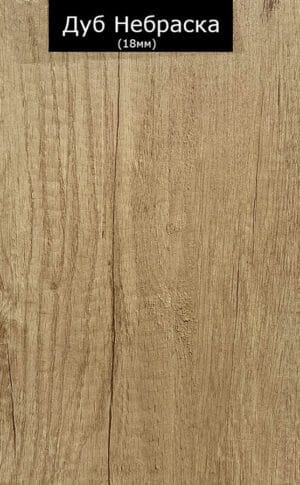 Дуб Небраска1