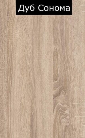 Дуб Сонома1